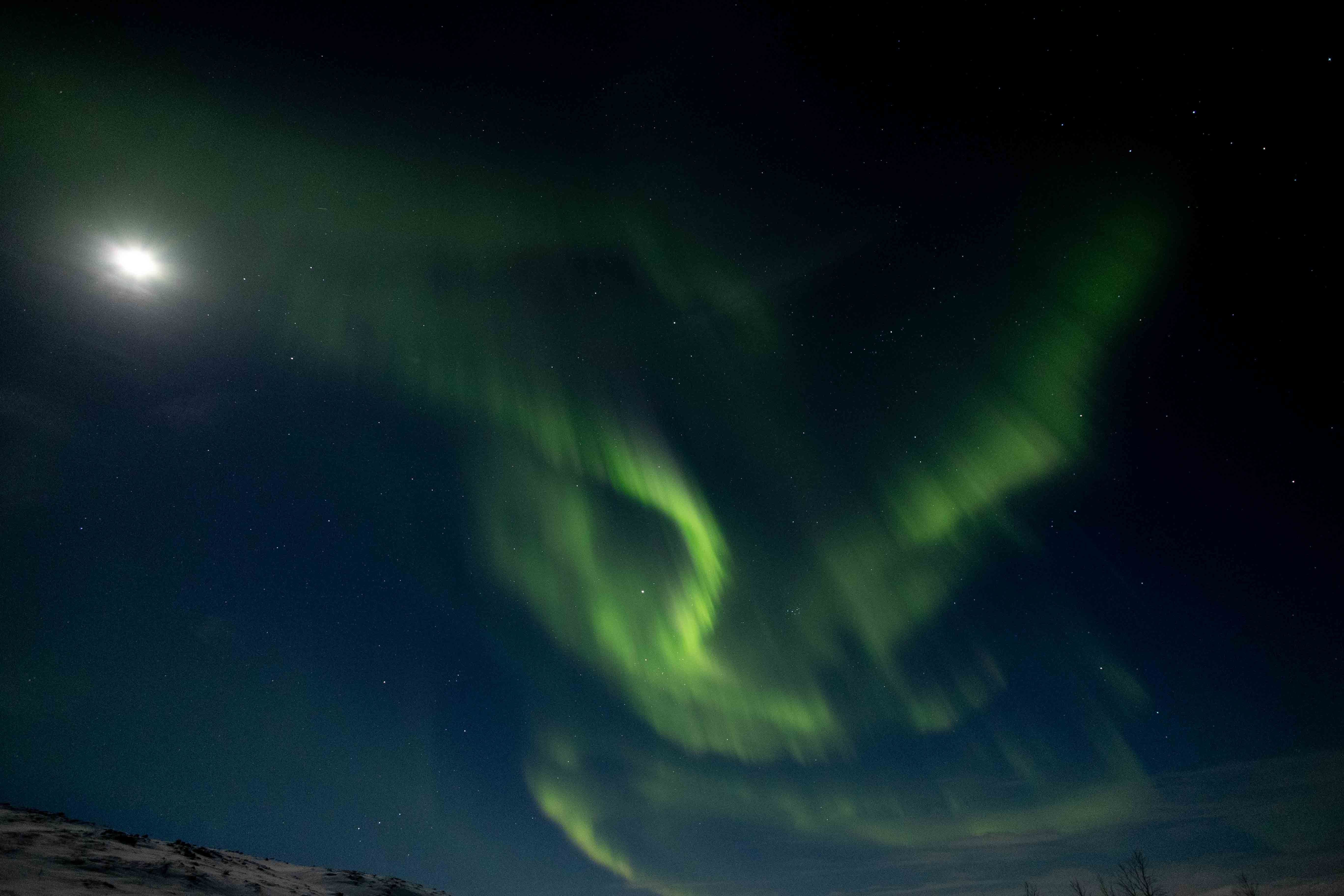 Northern Lights 2