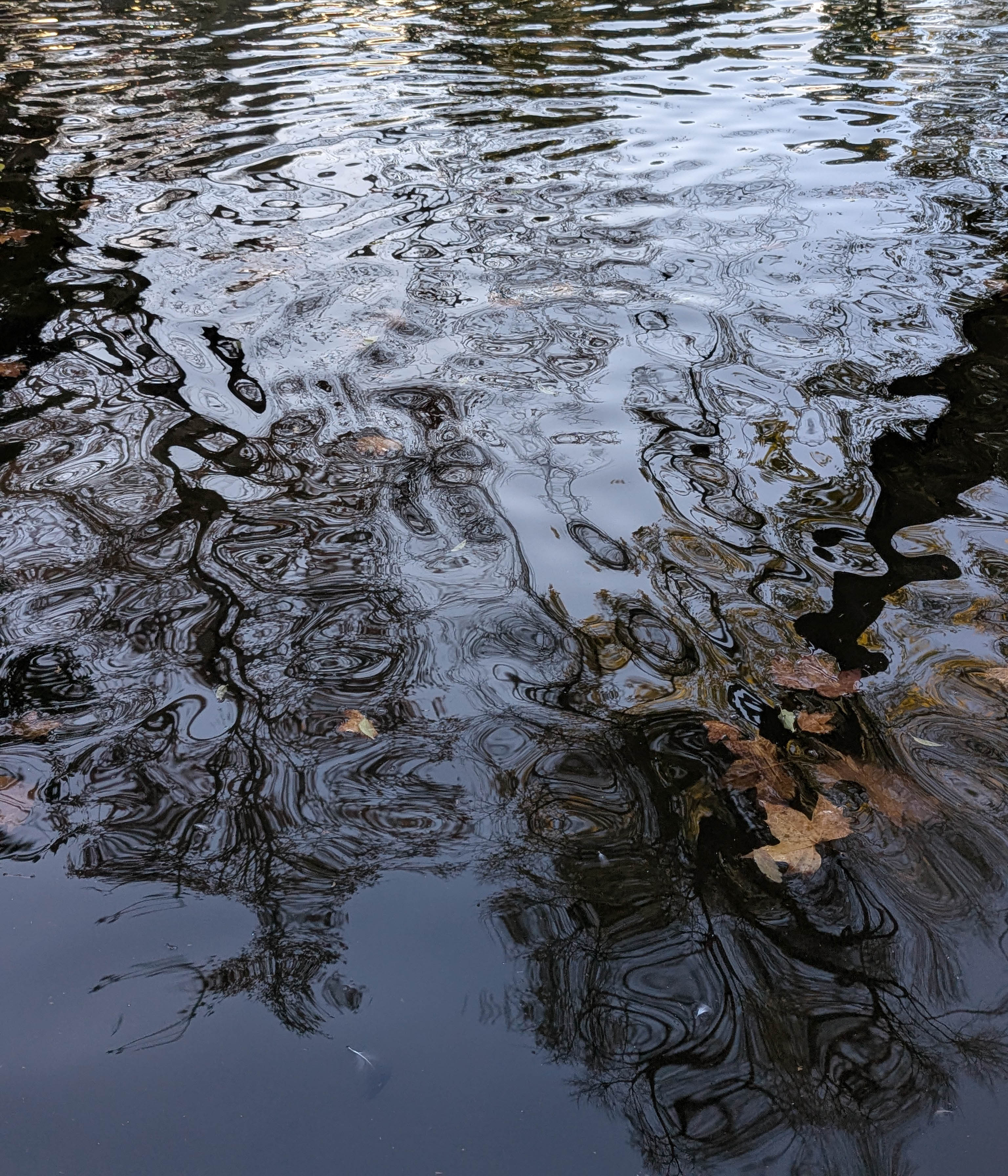 Circles on the water